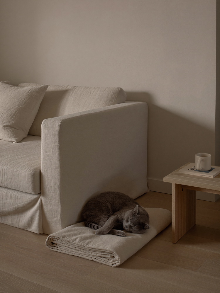 Gato dormindo enrolado sobre uma manta de linho ao pe do sofa numa sala clara